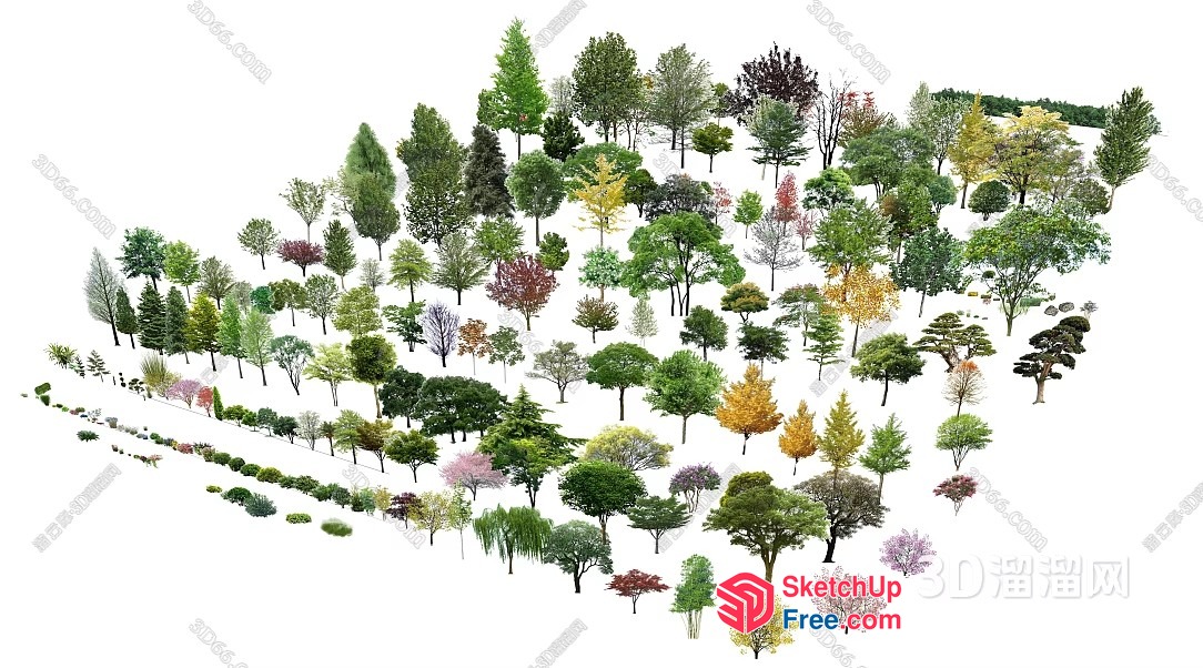 3D Rendering Of A Diverse Collection Of Trees 3D SketchUp File