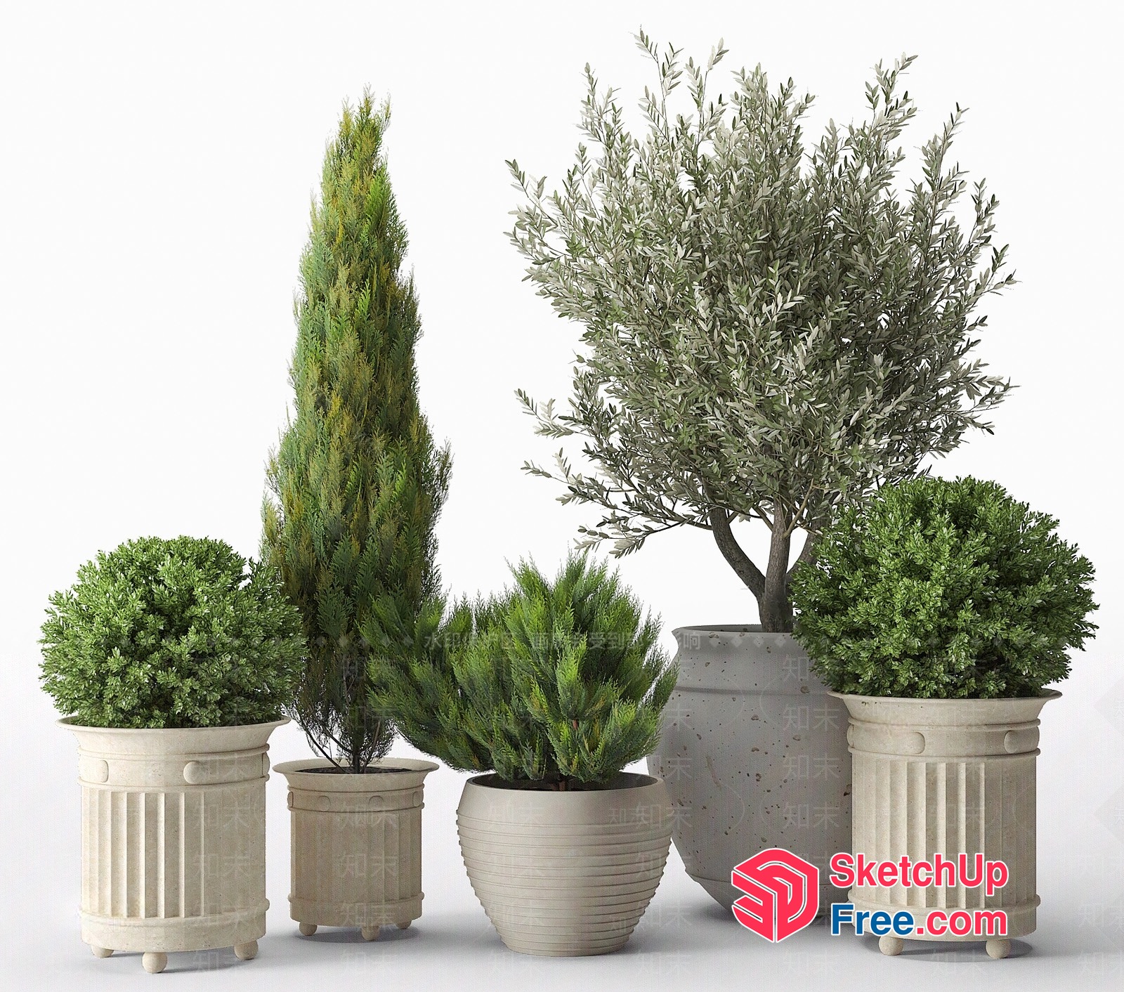 Potted Plants With Various Shapes And Sizes 3D SketchUp File