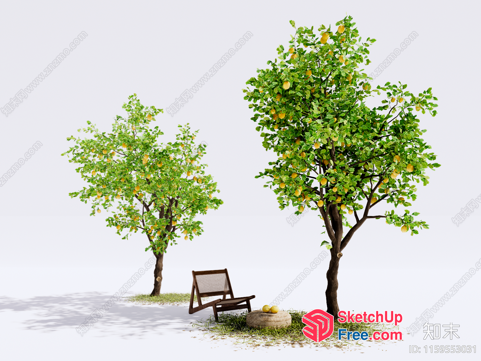 Two Trees And A Chair In A Natural Setting 3D SketchUp File