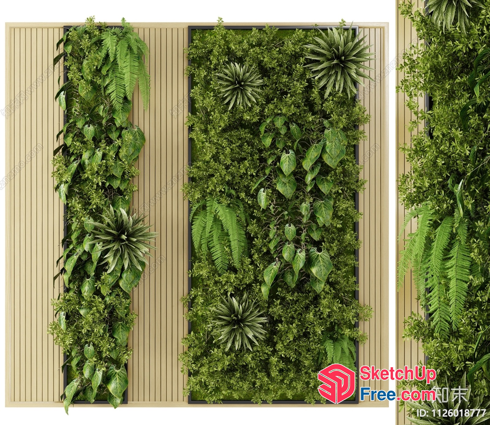 Modern Green Wall With Various Plants 3D SketchUp File