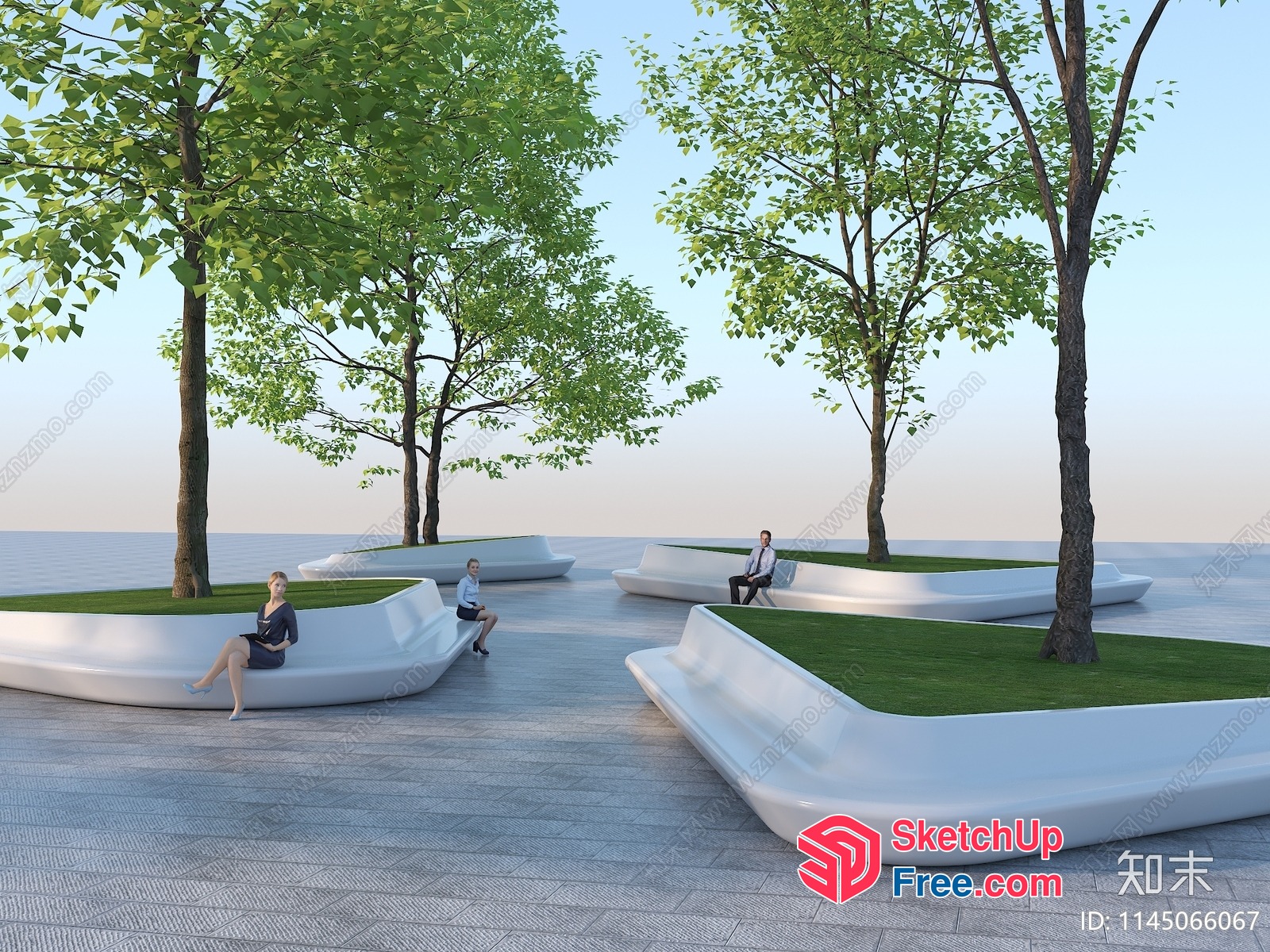 Modern Outdoor Seating Area With Curved Benches And Trees 3D SketchUp File
