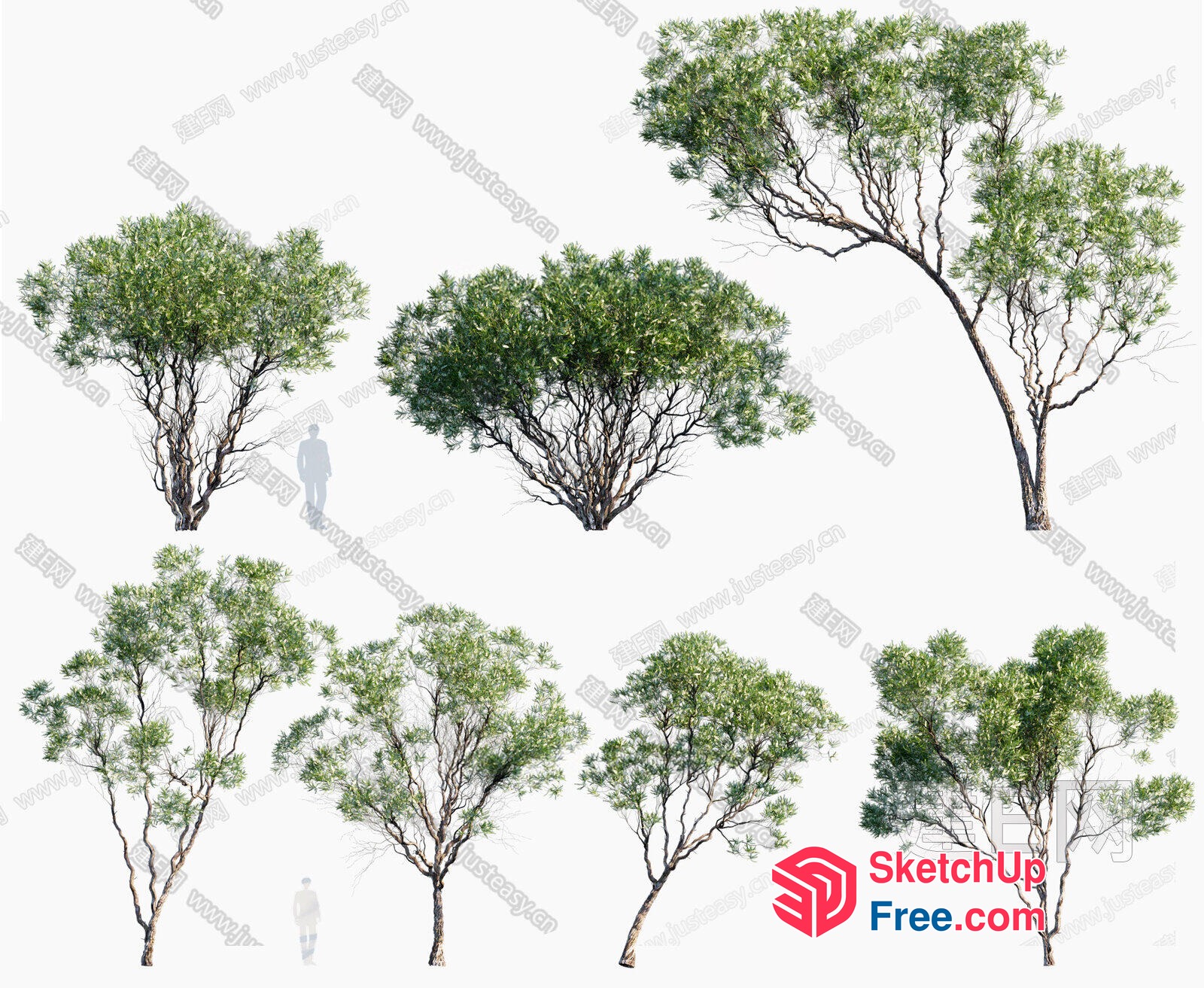 Tree Arrangement Collection 3D SketchUp File