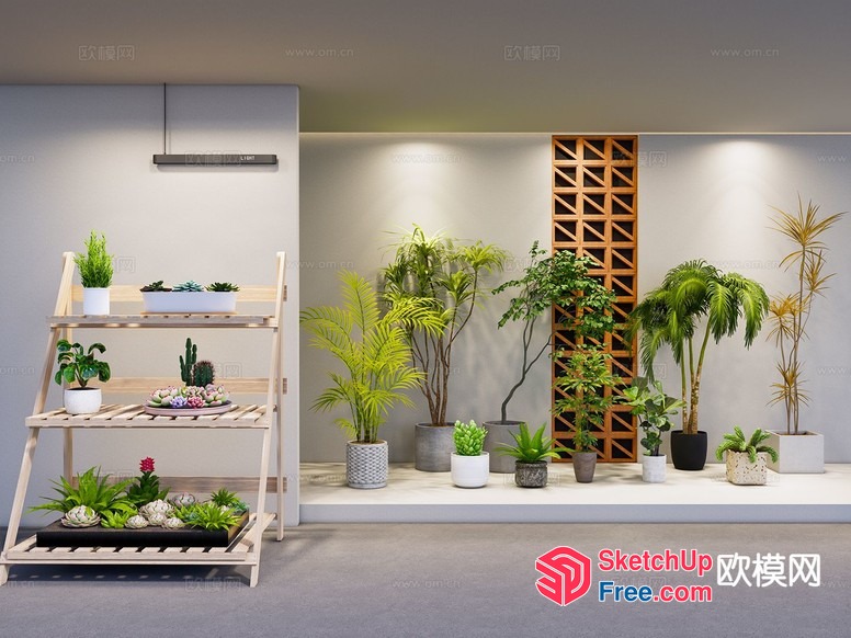 Potted Plants And Shelf Decor 3D SketchUp File