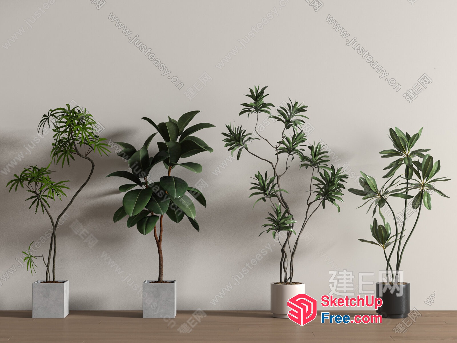 Four Potted Plants In Front Of A Plain Wall 3D SketchUp File