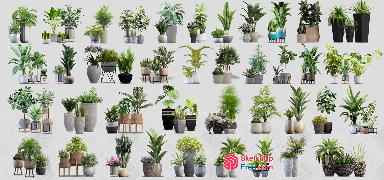 Various Potted Plants In Different Styles And Sizes 3D SketchUp File