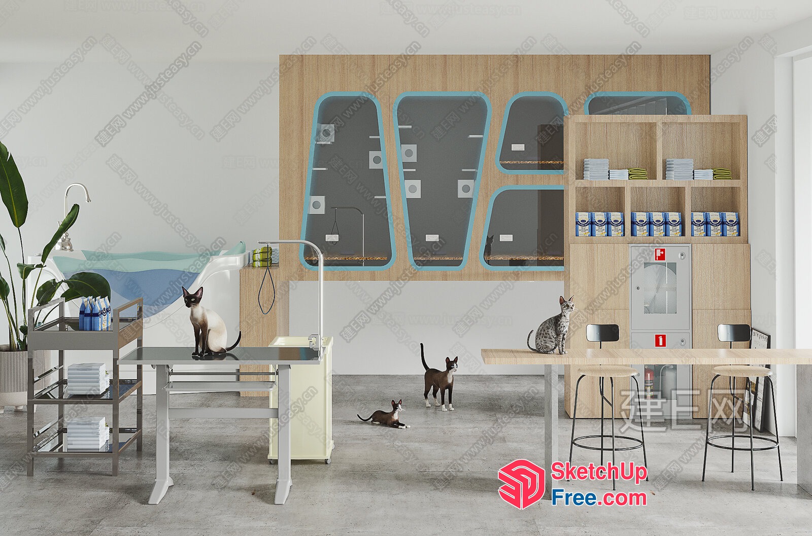 A Modern And Stylish Cat Grooming Salon With A Sleek Interior 3D SketchUp File