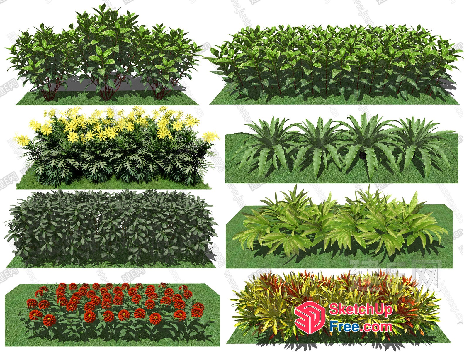 3D Rendered Plants And Flowers 3D SketchUp File