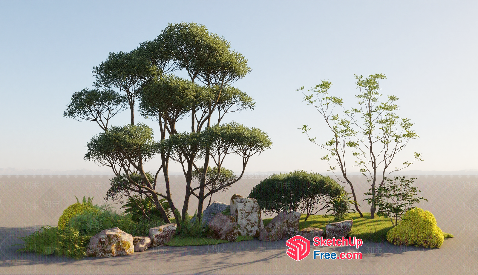 Japanese Style Garden With Trees And Rocks 3D SketchUp File