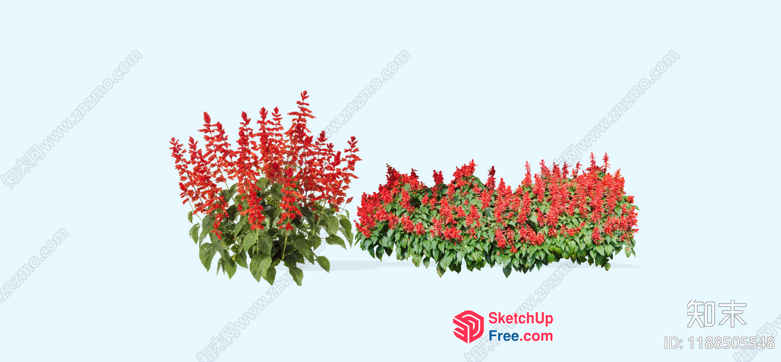 Two Rows Of Red Flowers And Green Leaves 3D SketchUp File