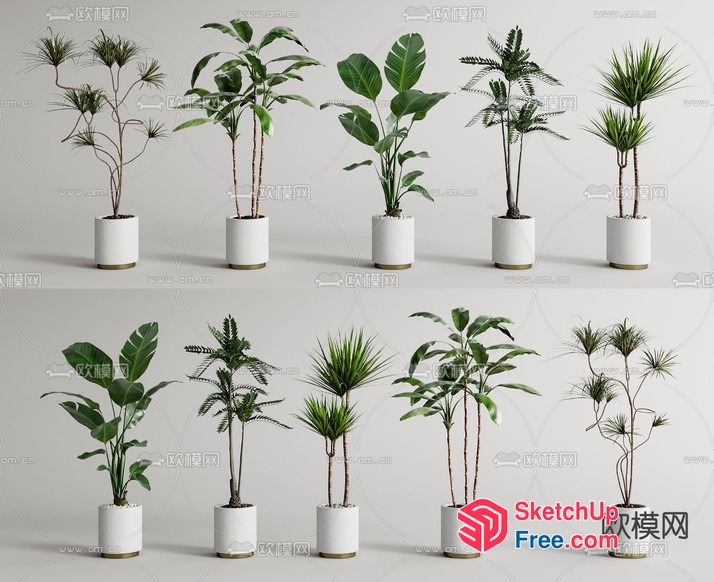 A Variety Of Potted Plants 3D SketchUp File