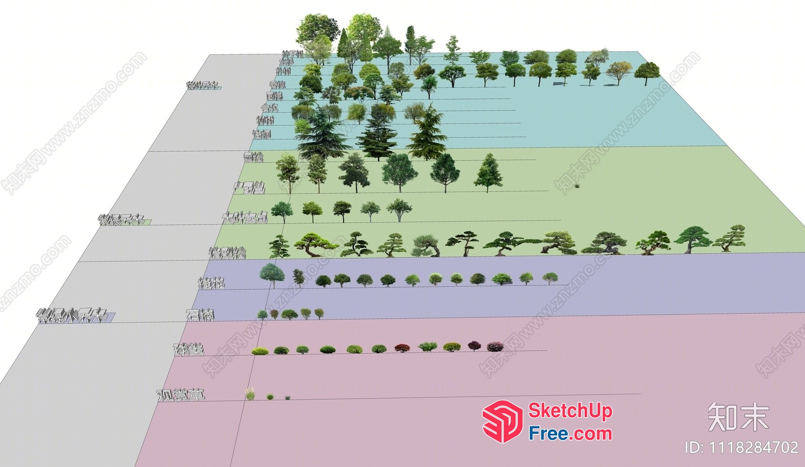 Tree Arrangement In Multiple Layers 3D SketchUp File