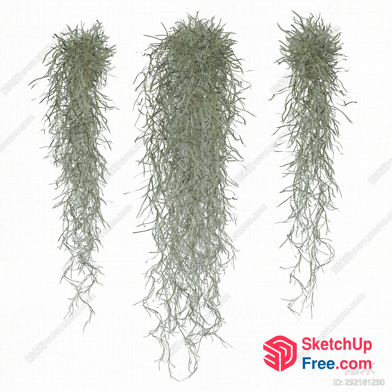 Hanging Plant Decorations 3D SketchUp File