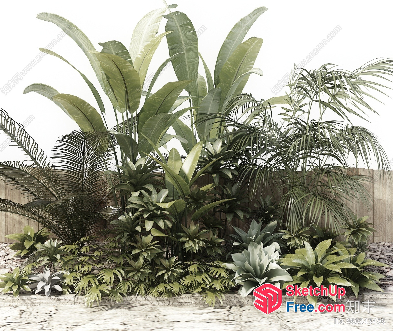 Tropical Plants In Front Of Wooden Fence 3D SketchUp File