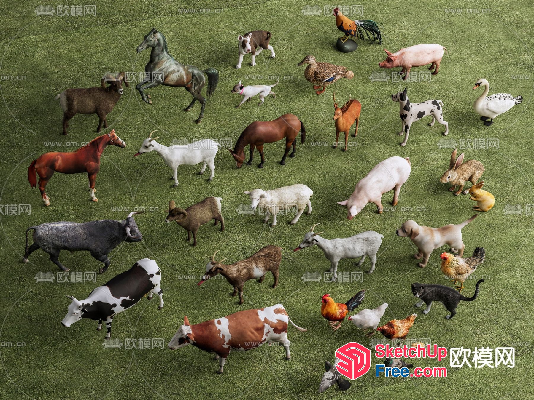 Animal Gathering In A Green Field 3D SketchUp File