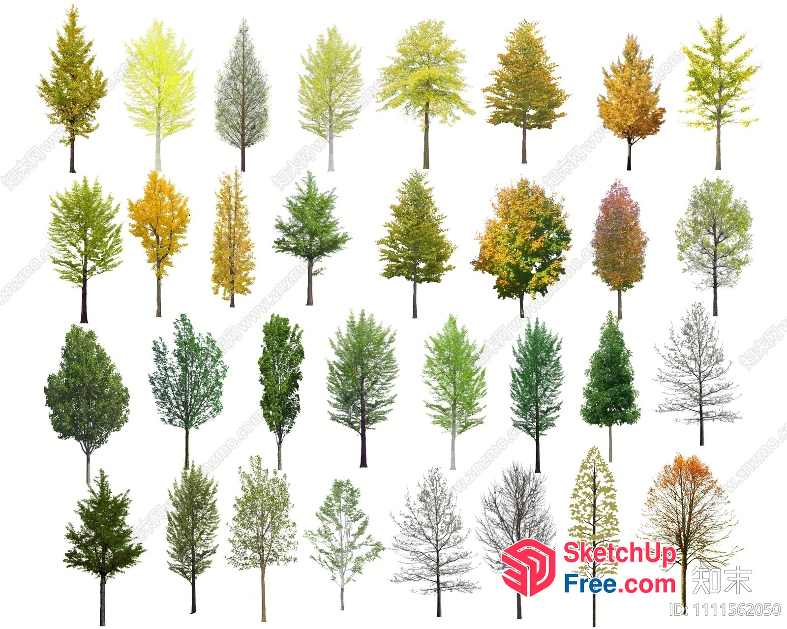 Various Trees In Different Seasons 3D SketchUp File