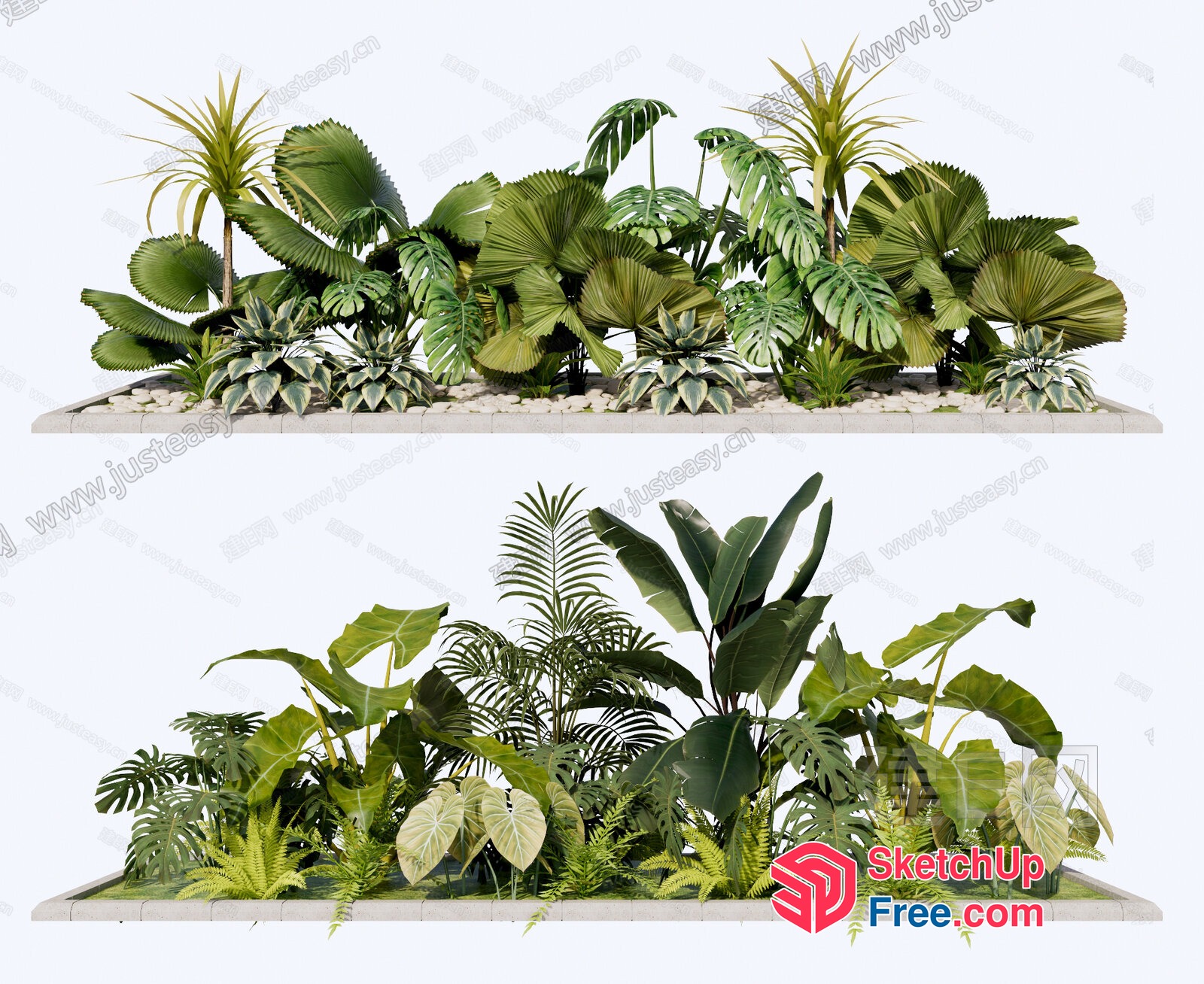 Tropical Plants Arrangement 3D SketchUp File