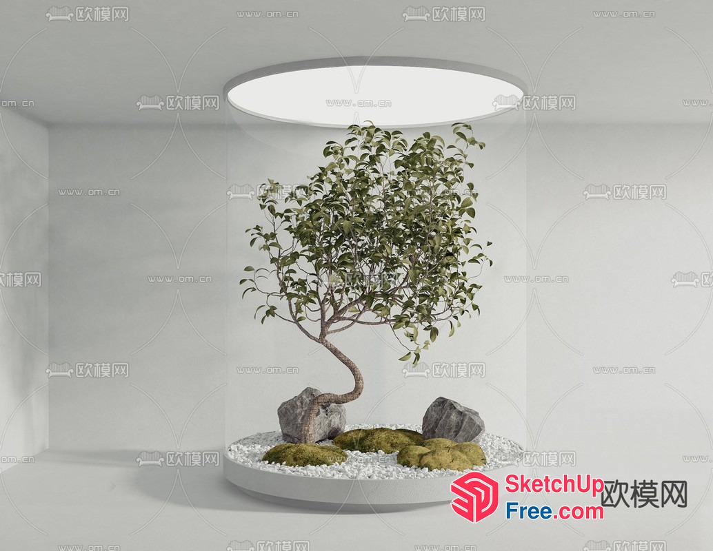 A Modern And Serene Interior Space With A Tree And Rocks 3D SketchUp File