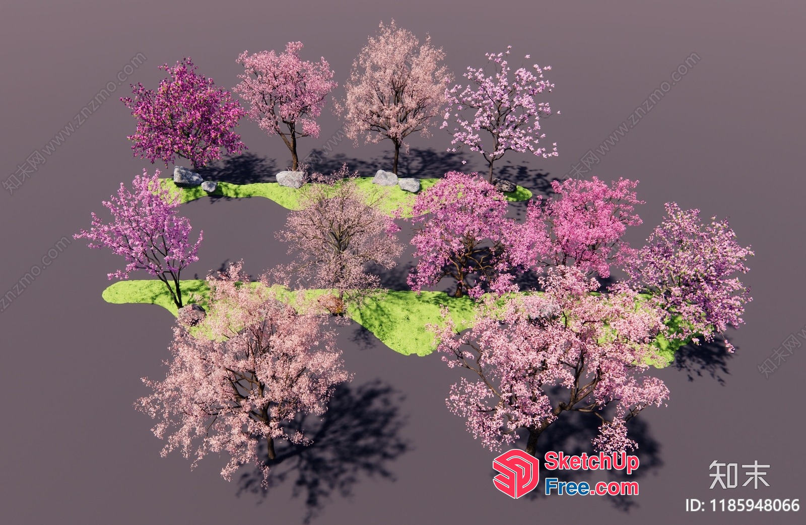 Vibrant Cherry Blossom Trees On A Serene Green Island 3D SketchUp File