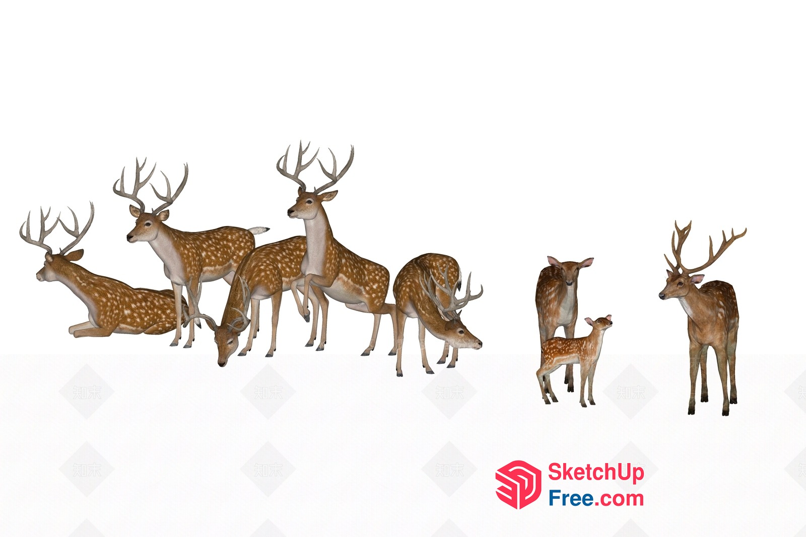Group Of Deer Animals 3D SketchUp File