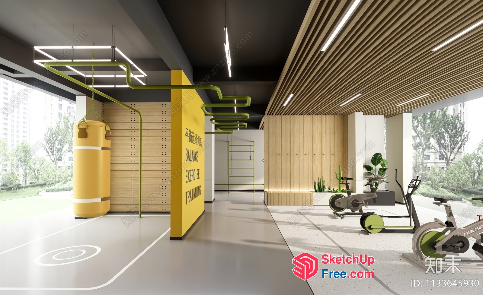 Modern Gym Interior With Fitness Equipment And Exercise Area 3D SketchUp File