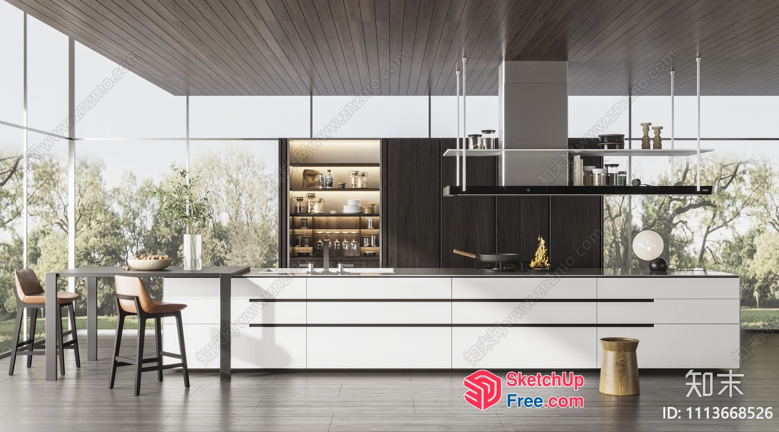 Modern Kitchen Interior With Sleek White And Dark Wood Accents 3D SketchUp File