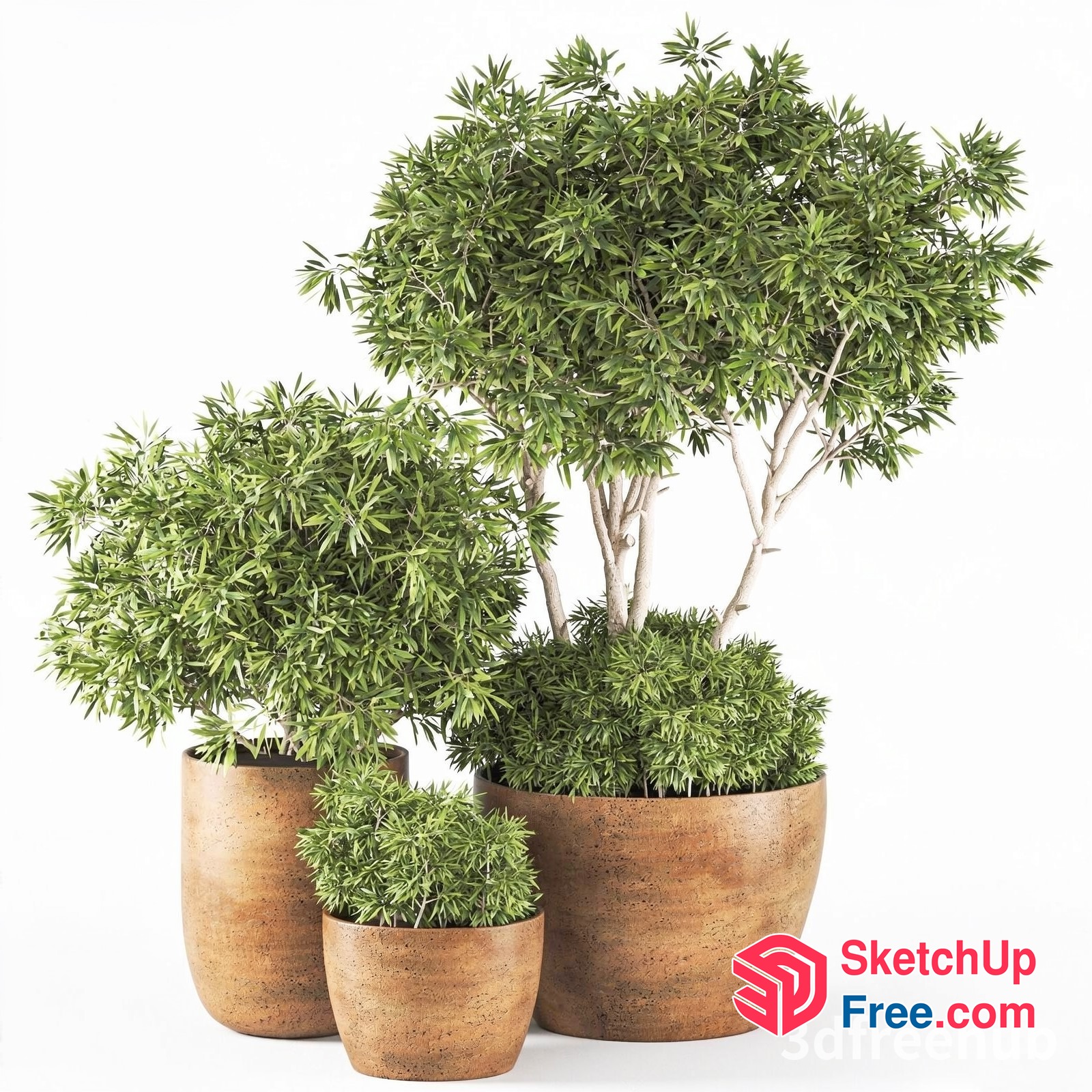 Three Potted Plants In Brown Ceramic Pots 3D SketchUp File