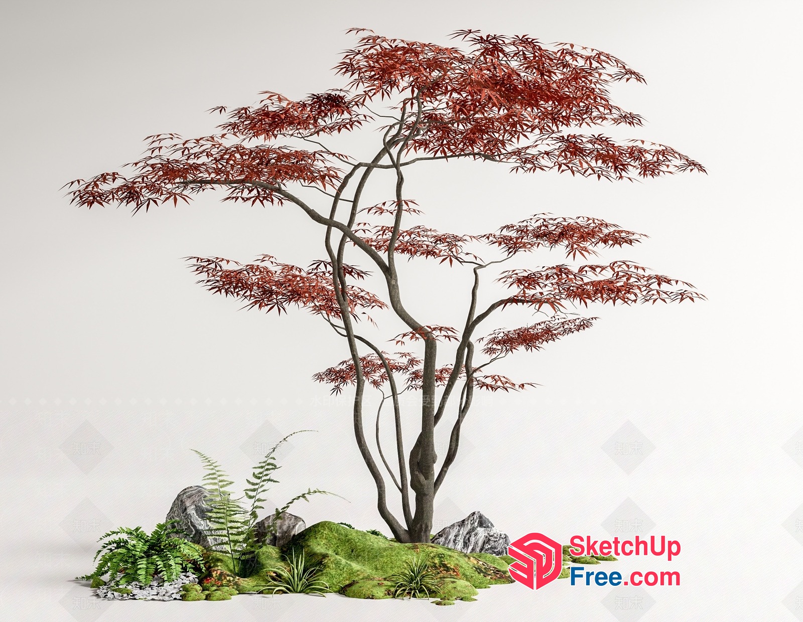Japanese Style Garden Decor With Red Tree And Rocks 3D SketchUp File