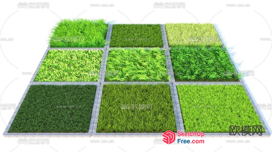 Grass Patterns In Rectangular Tiles 3D SketchUp File
