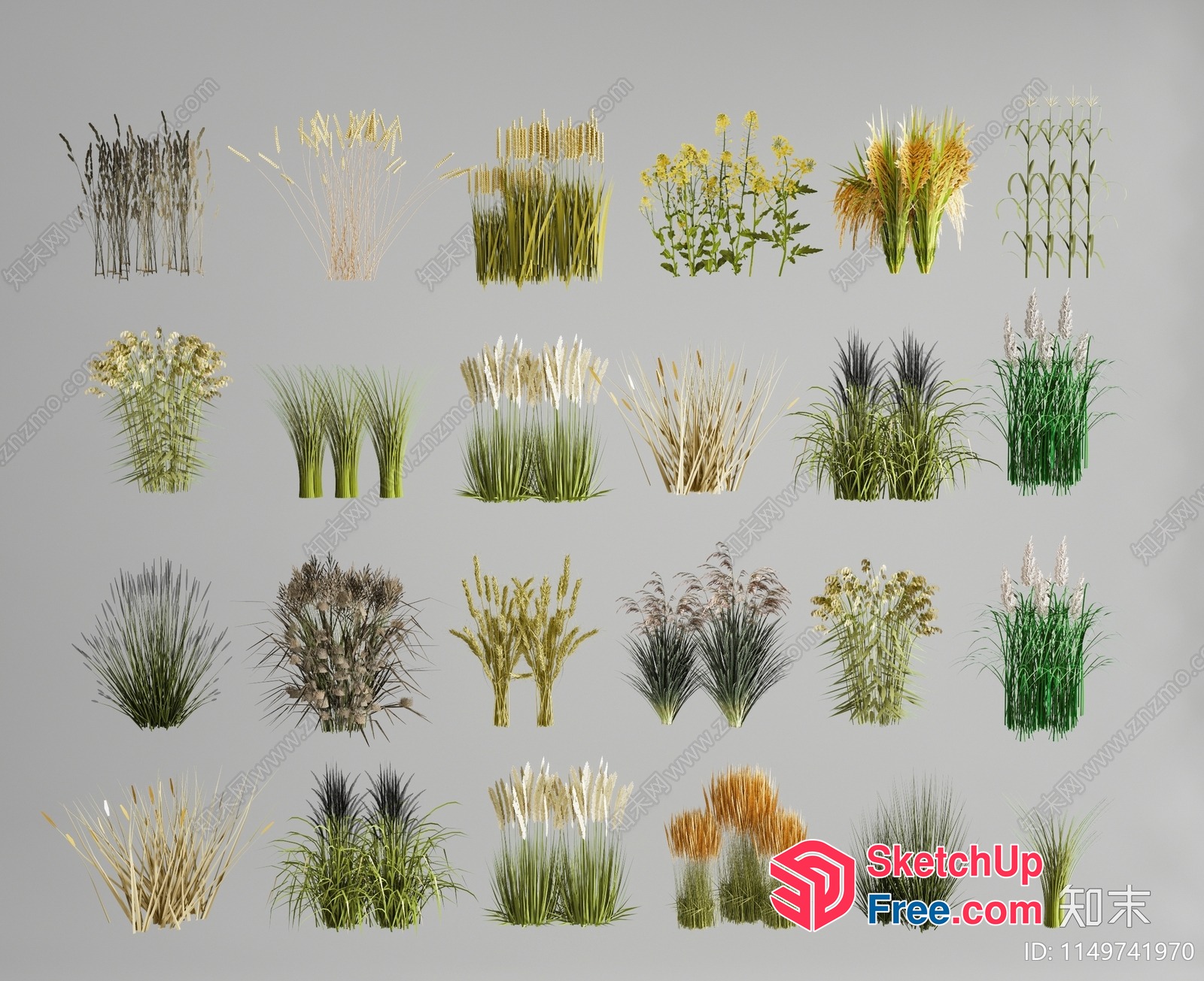Grasses Of Various Types And Styles 3D SketchUp File