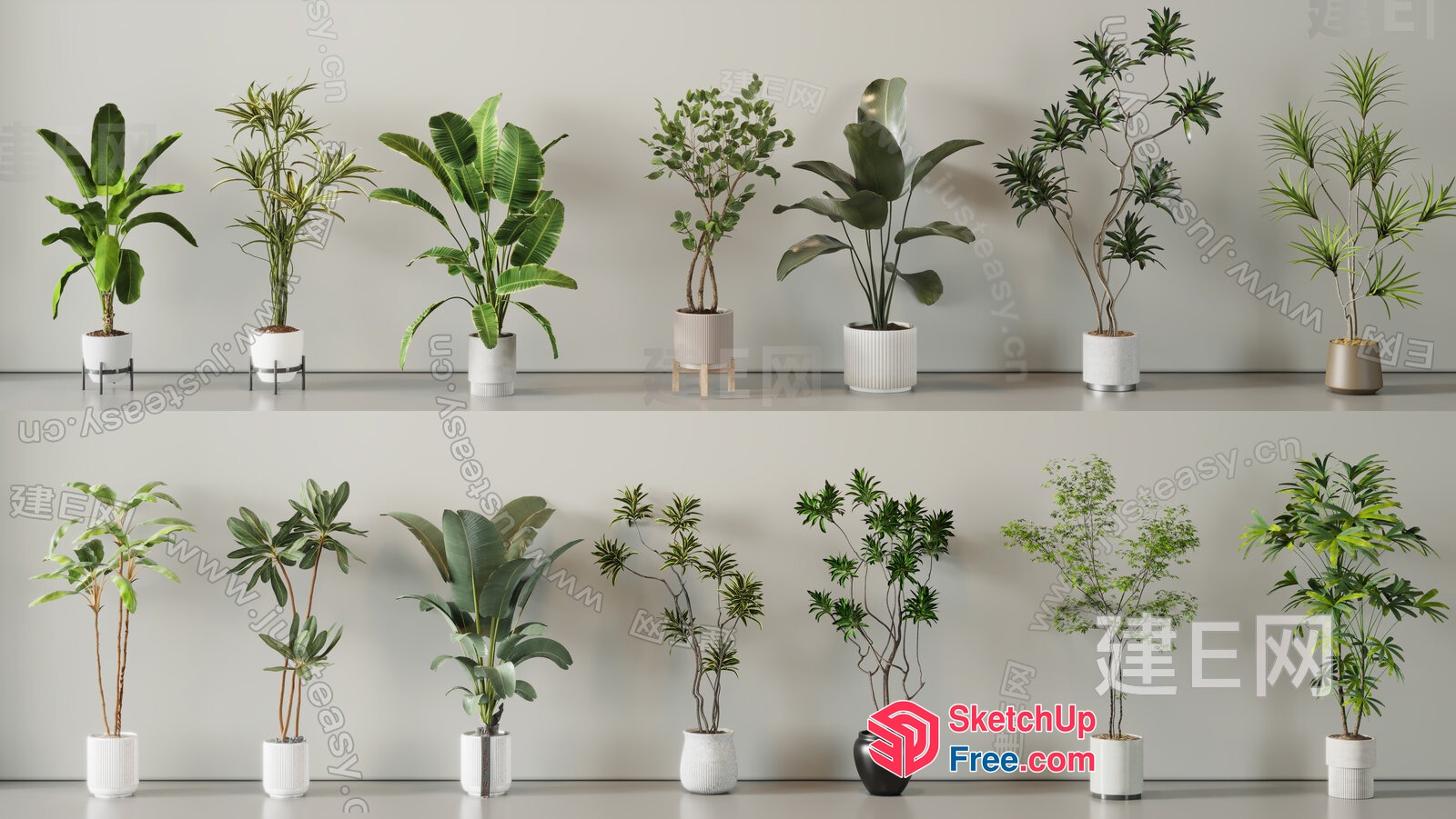 Potted Plants In Various Styles And Sizes 3D SketchUp File