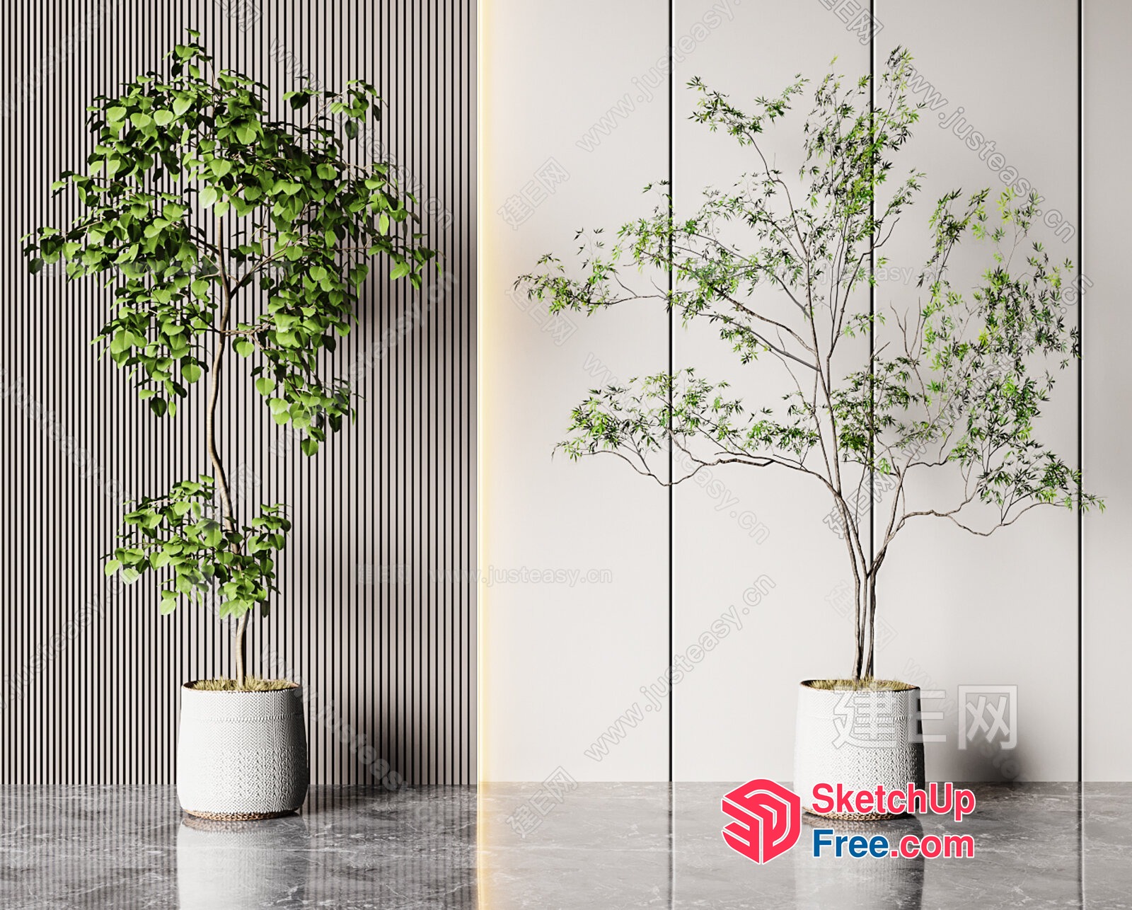 Two Potted Plants In A Modern Interior Setting 3D SketchUp File