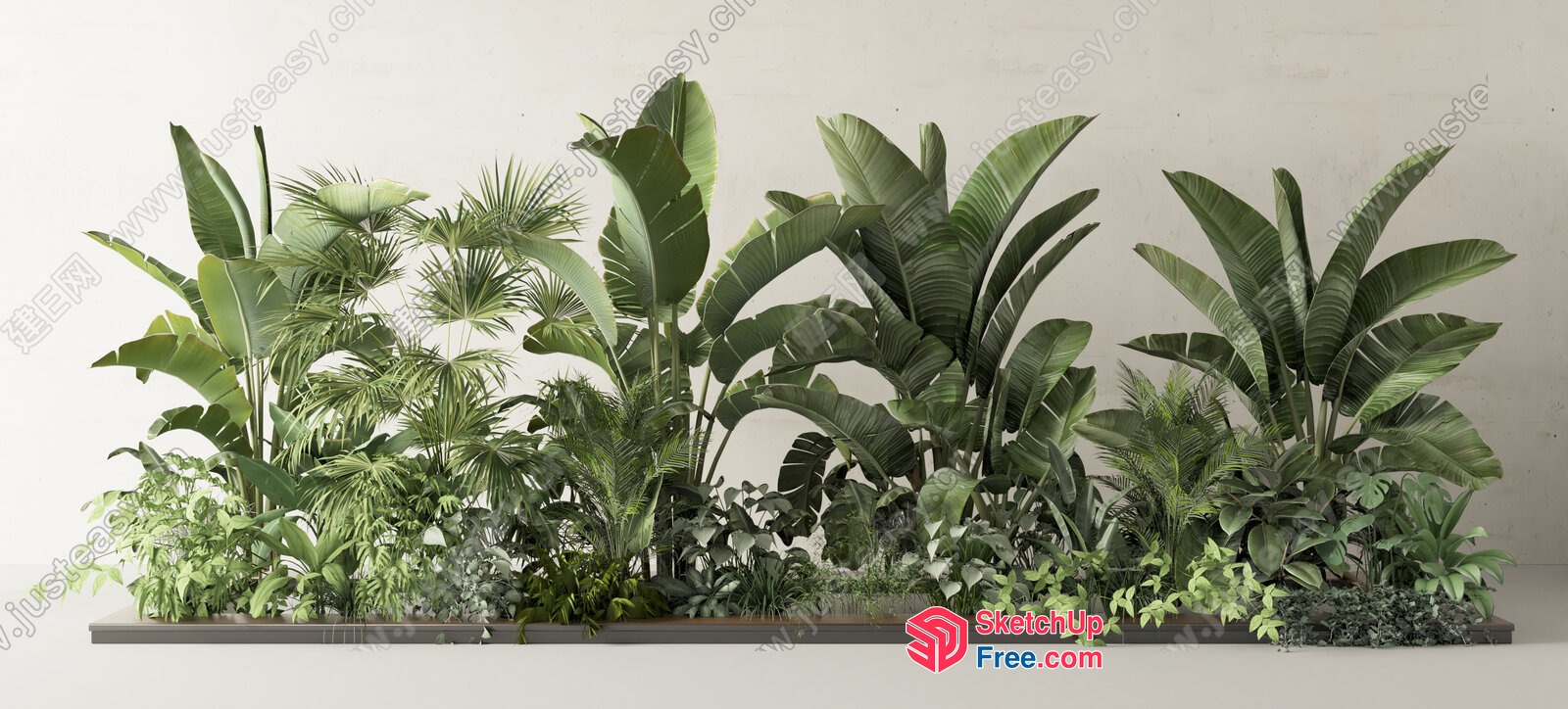 Tropical Plant Display 3D SketchUp File