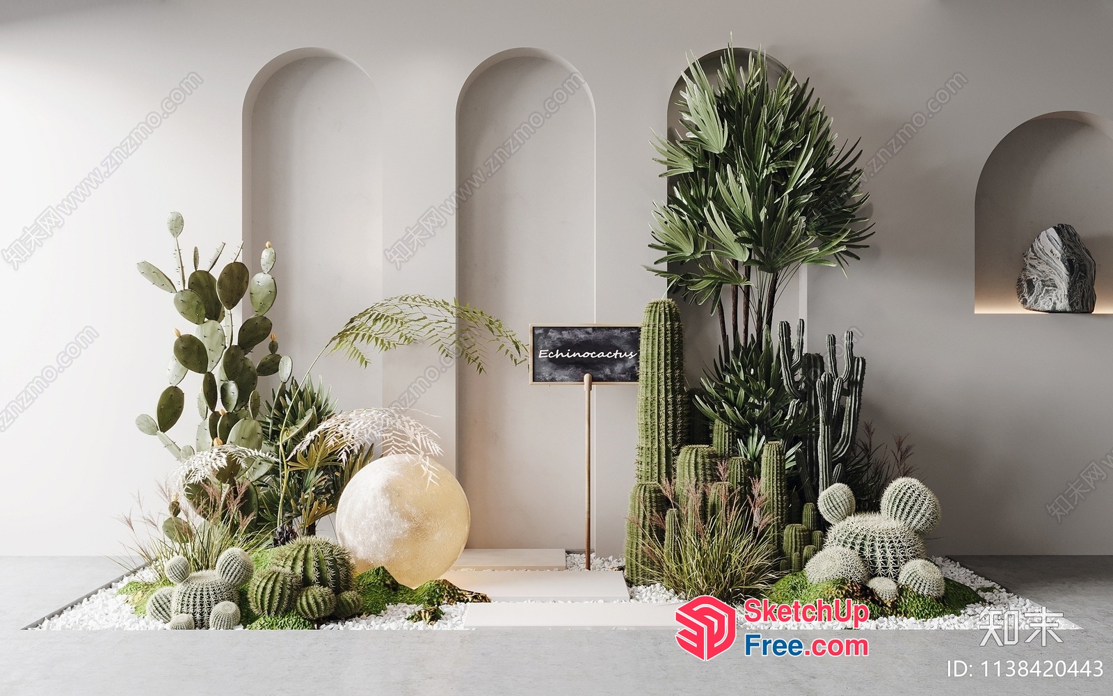 Echinocactus Decor 3D SketchUp File