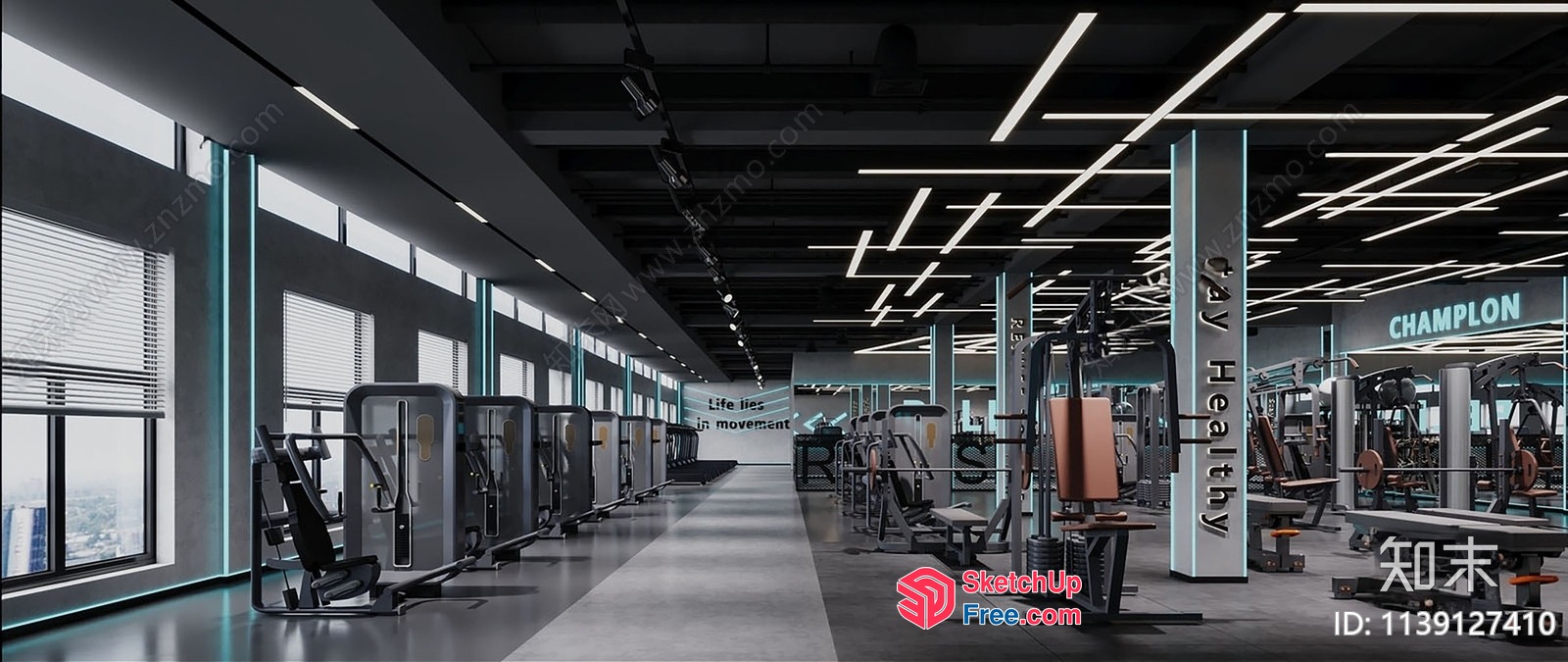 Modern Gym Interior With Bright Lighting And Sleek Decor 3D SketchUp File