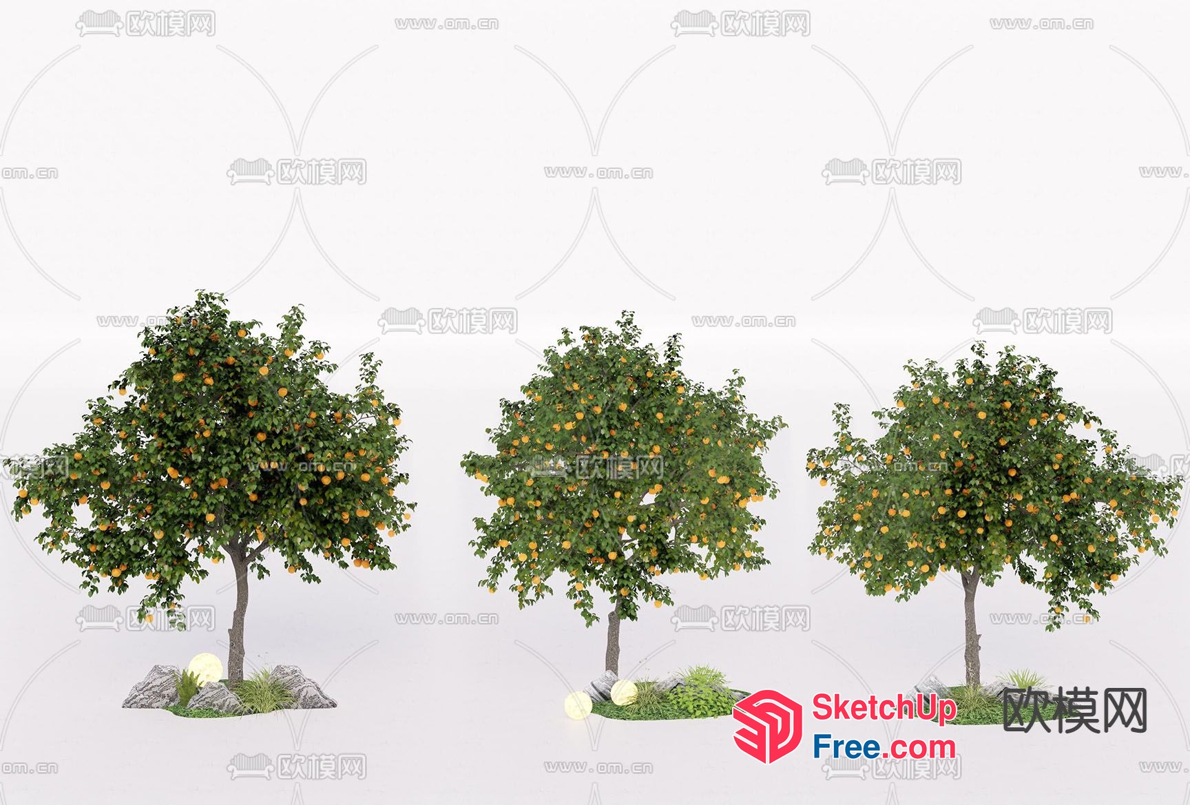 Three Trees With Oranges 3D SketchUp File