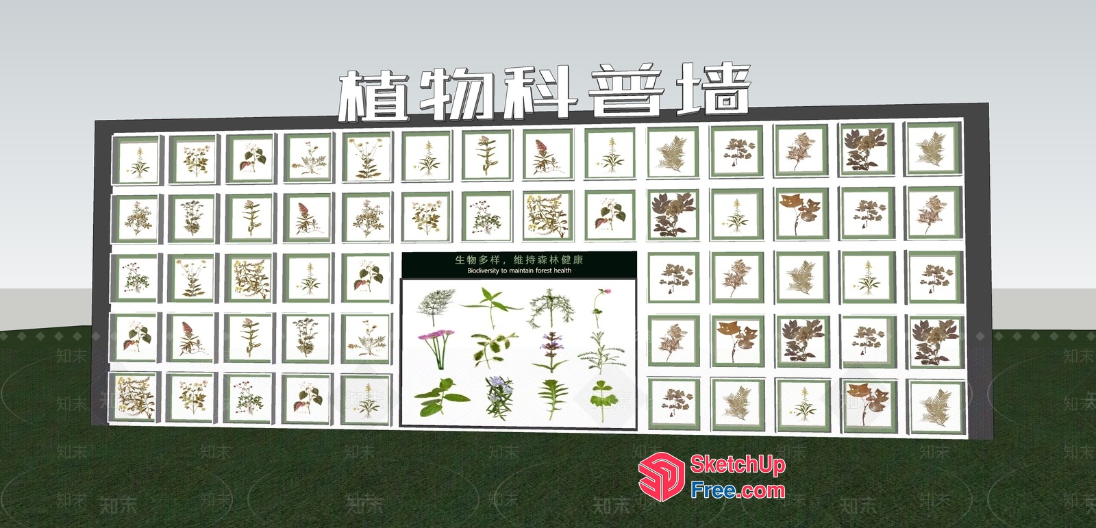 Flower Arrangement Display Board 3D SketchUp File