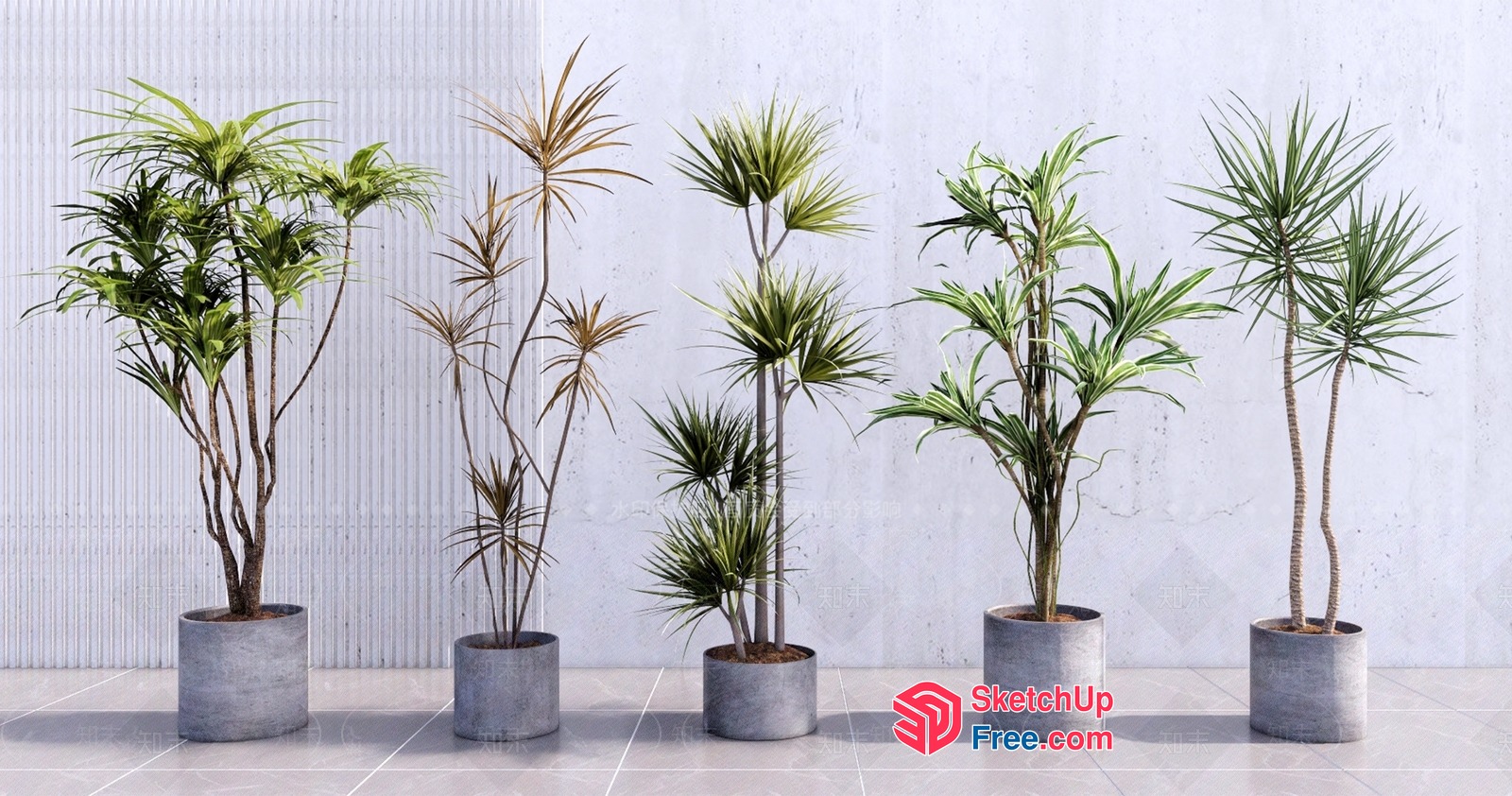 Elegant Potted Palm Trees In Concrete Pots 3D SketchUp File