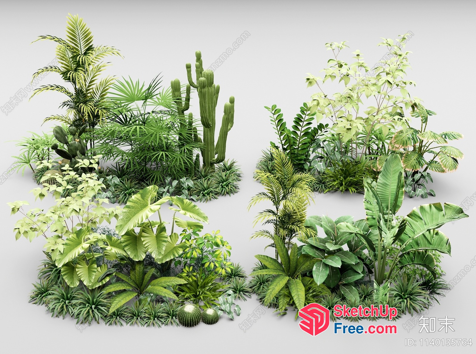 Tropical Greenery Arrangement 3D SketchUp File
