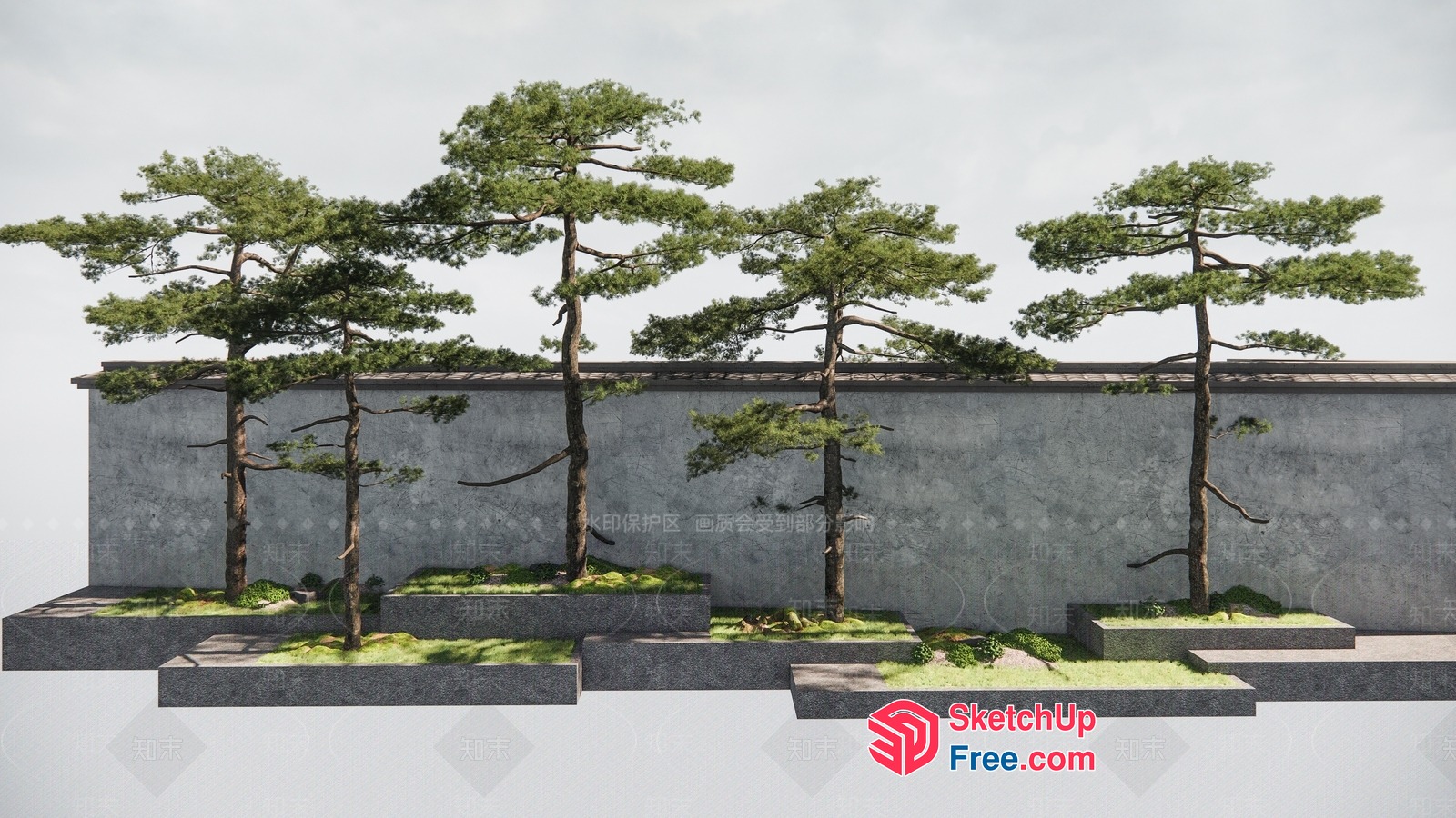 Japanese-Style Trees In Front Of A Gray Wall 3D SketchUp File