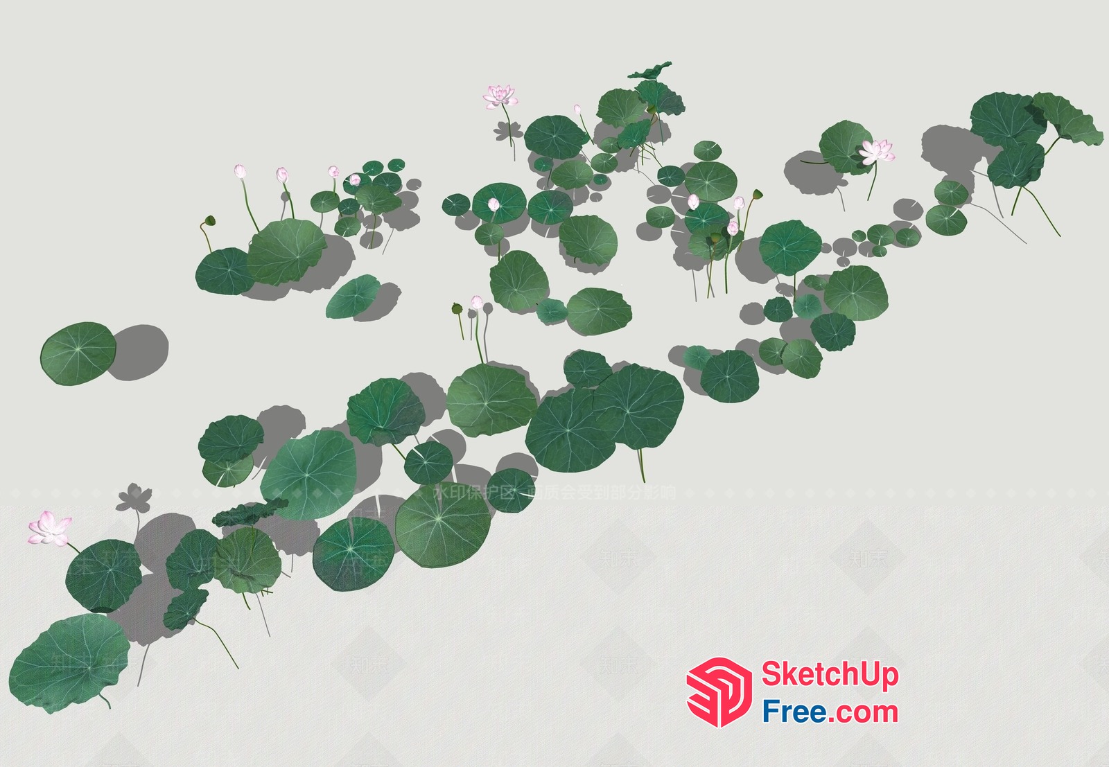 Lotus Leaves And Flowers In A Water Setting 3D SketchUp File