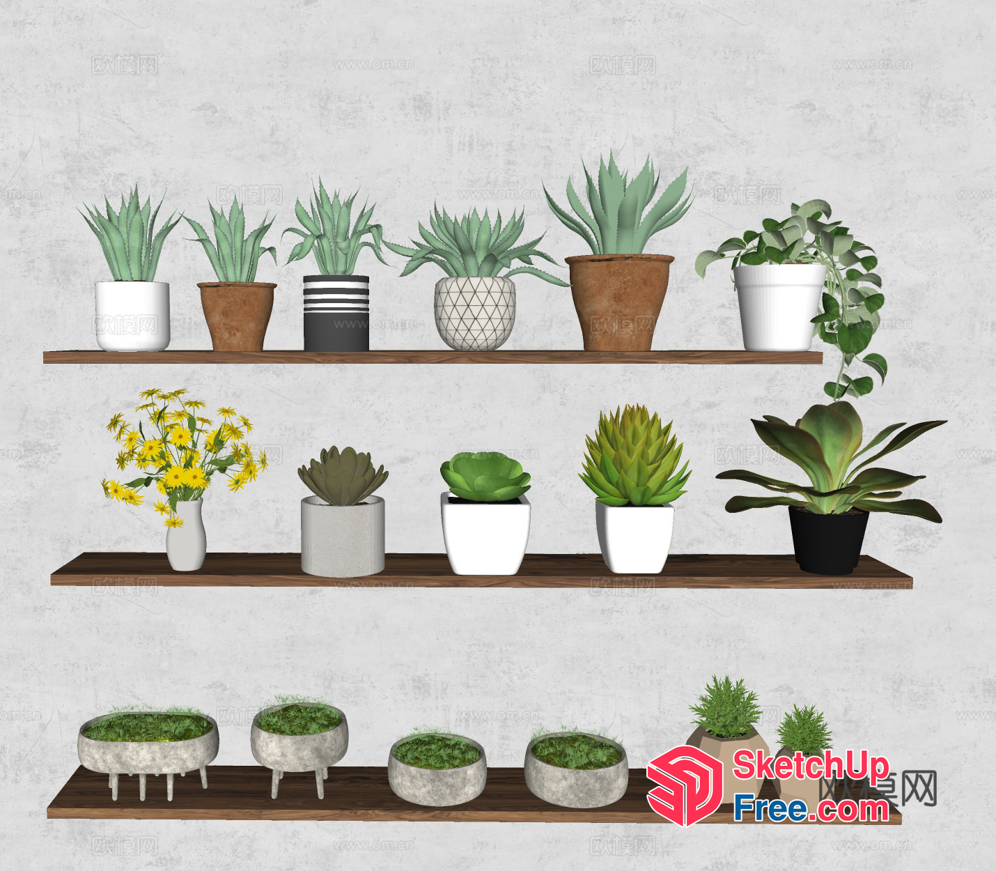 Potted Plants On Wooden Shelves 3D SketchUp File