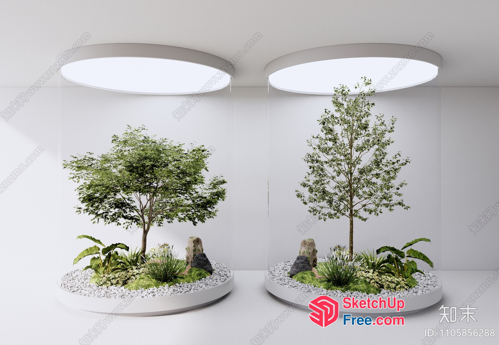 Minimalist Japanese-Style Terrariums With Trees And Decor 3D SketchUp File