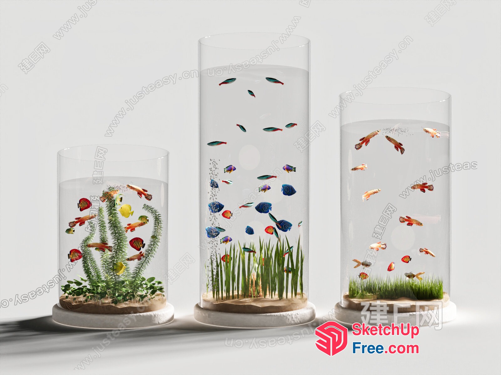 Three Glass Vases With Fish And Plants 3D SketchUp File