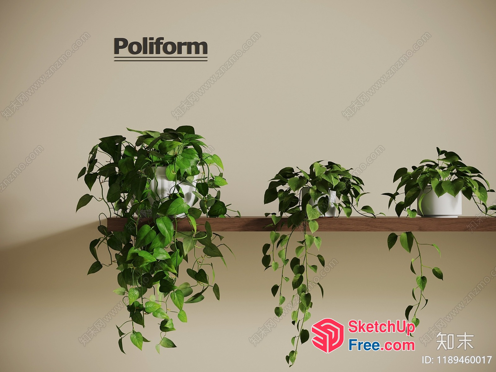 Potted Plants On A Shelf 3D SketchUp File