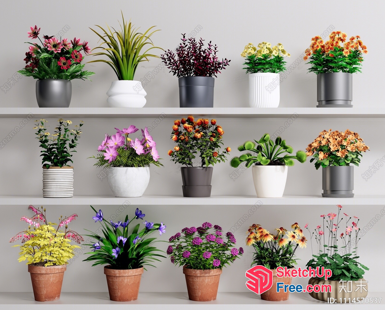 Vibrant Potted Plants On Shelves 3D SketchUp File