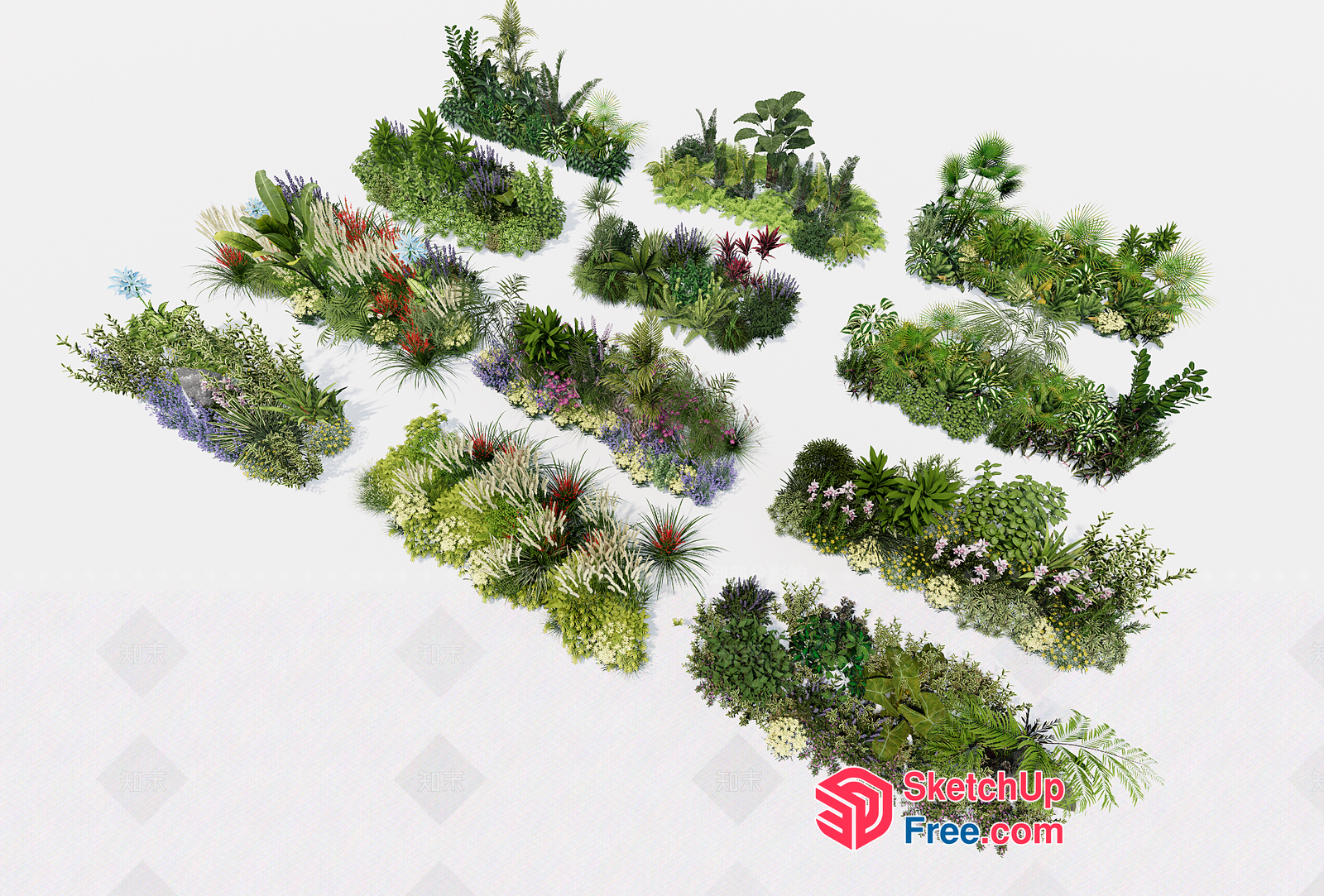 Tropical Plant Collection 3D SketchUp File
