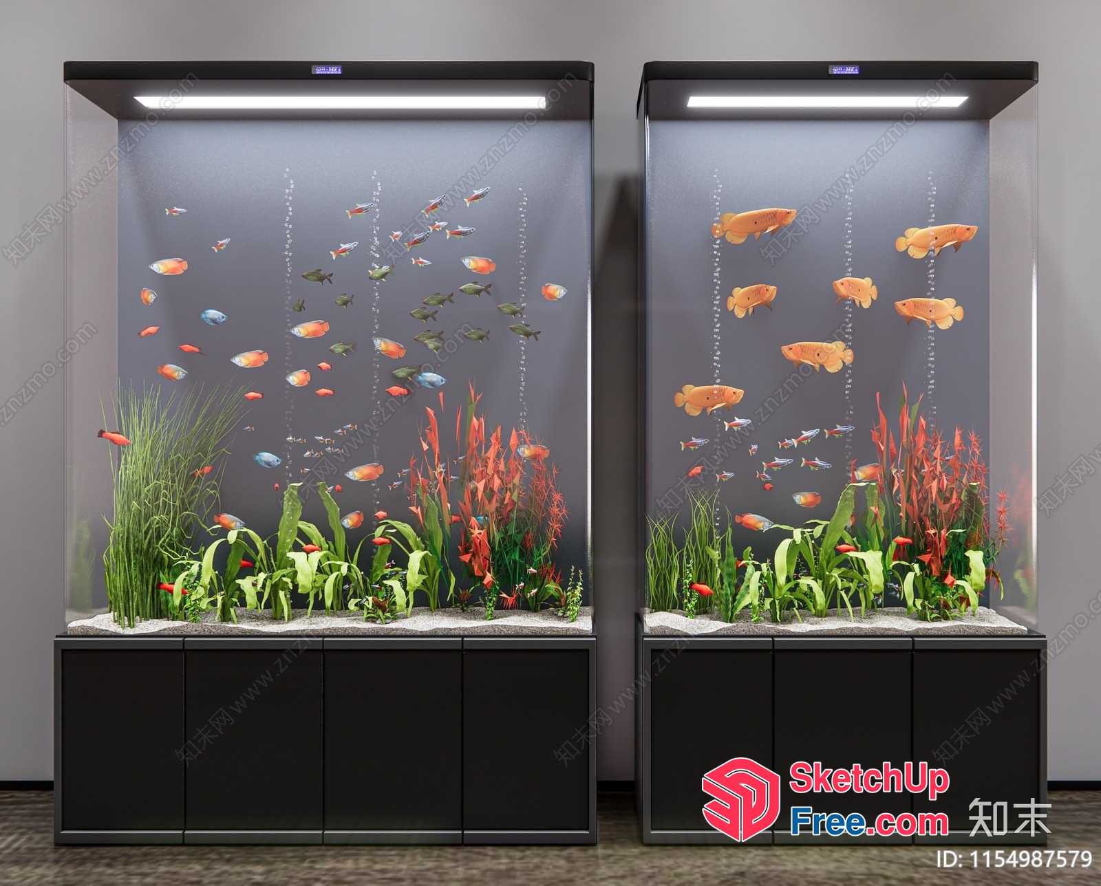 Two Aquariums With Vibrant Fish And Plants 3D SketchUp File