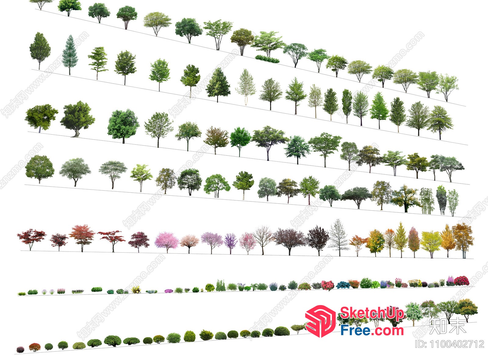 A Collection Of Trees In Various Styles And Sizes 3D SketchUp File