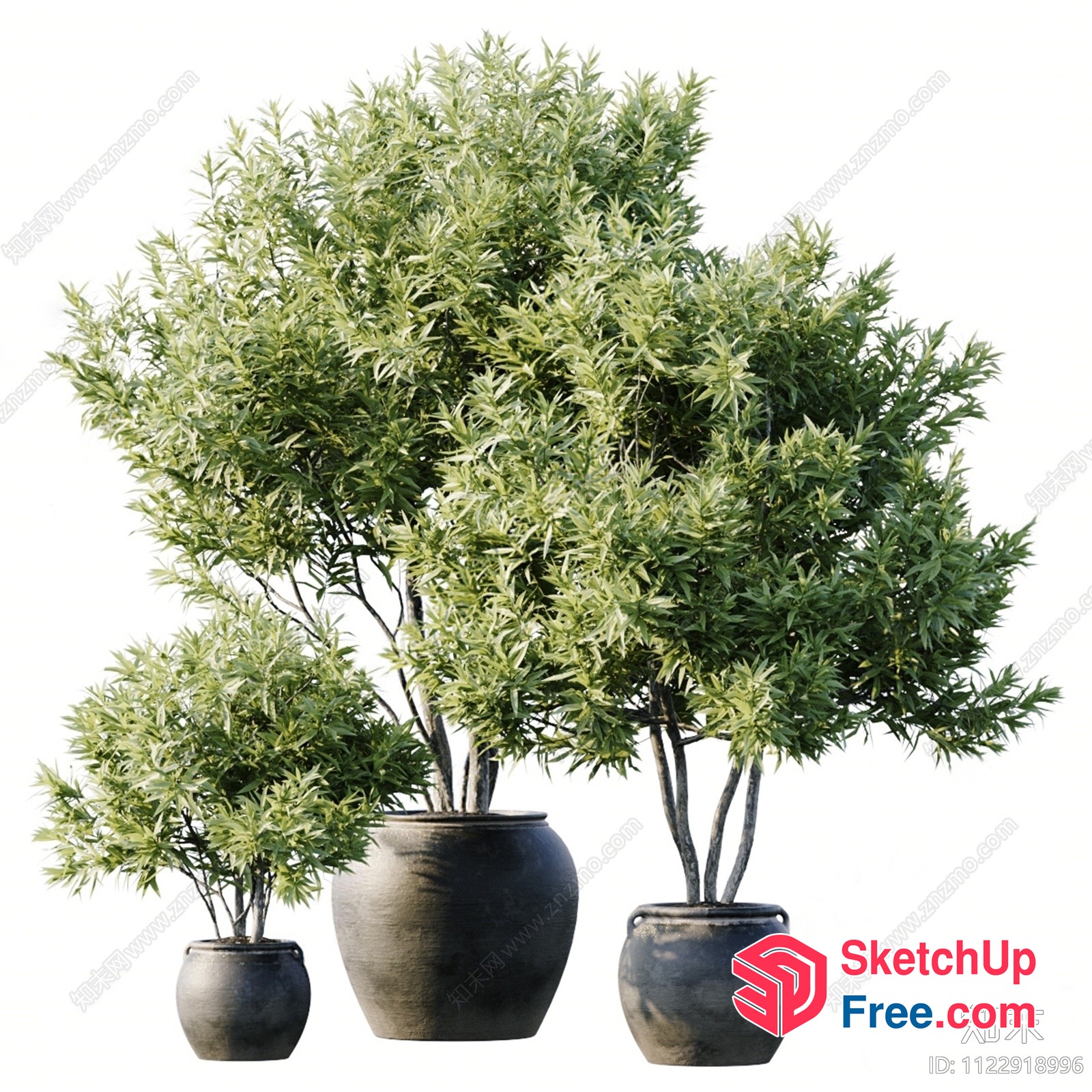 Potted Plants In Grey Ceramic Pots 3D SketchUp File