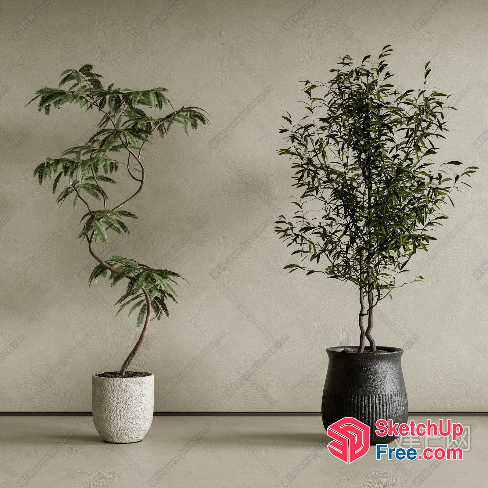 Two Potted Plants In A Neutral Setting 3D SketchUp File